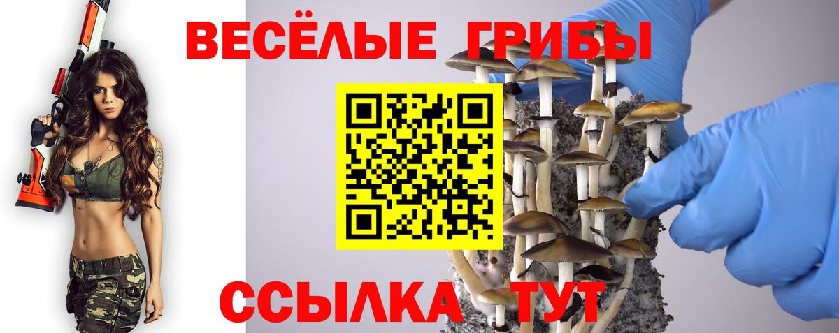 Галлюциногенные грибы MAGIC MUSHROOMS  Псилоцибиновые грибы Magic Shrooms  Спасск-Дальний  Вход с VPN 