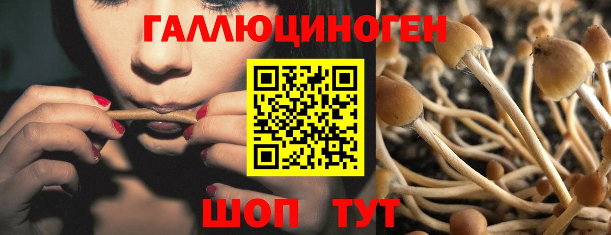 Псилоцибиновые грибы мухоморы Спасск-Дальний